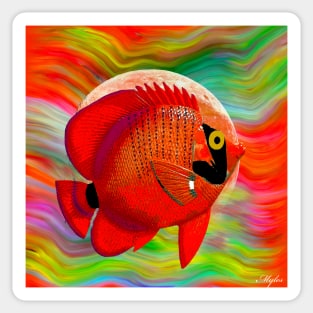 ANGEL FISH Sticker